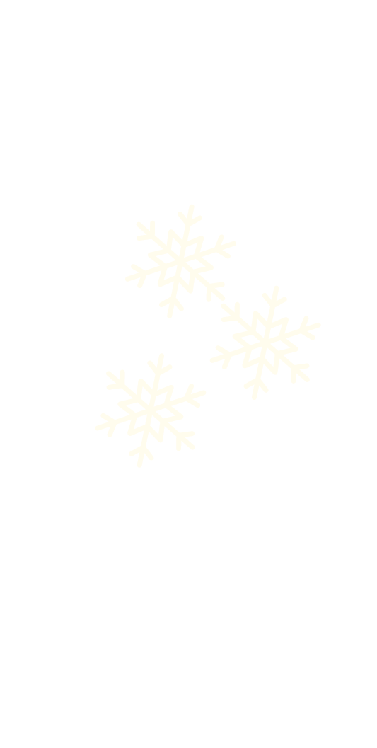 sneeuw gespiegeld (1)